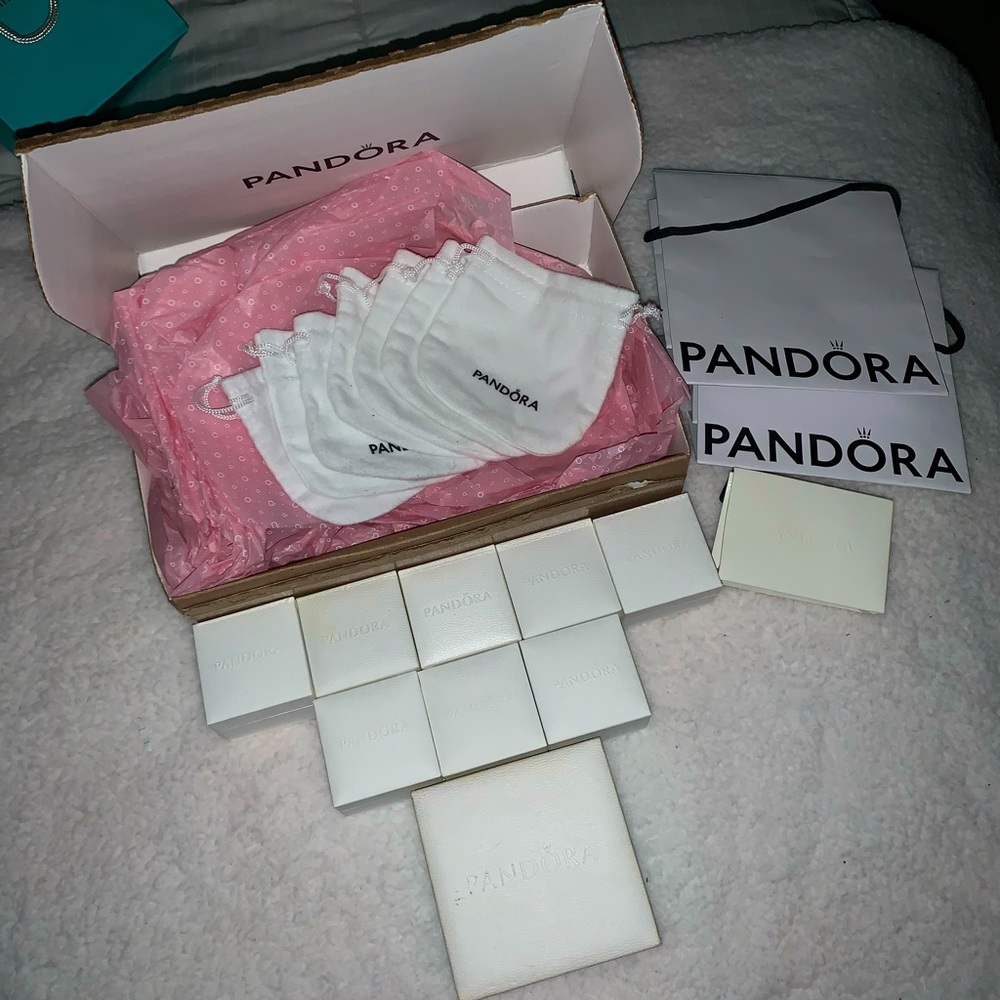 Pandora Jewelry Boxes and Bags